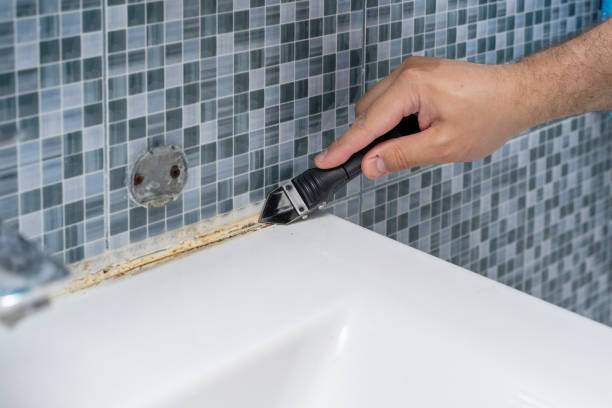 Best Post-Flood Mold Remediation in Frisco City, AL
